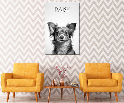 Daisy Brown Chihuahua