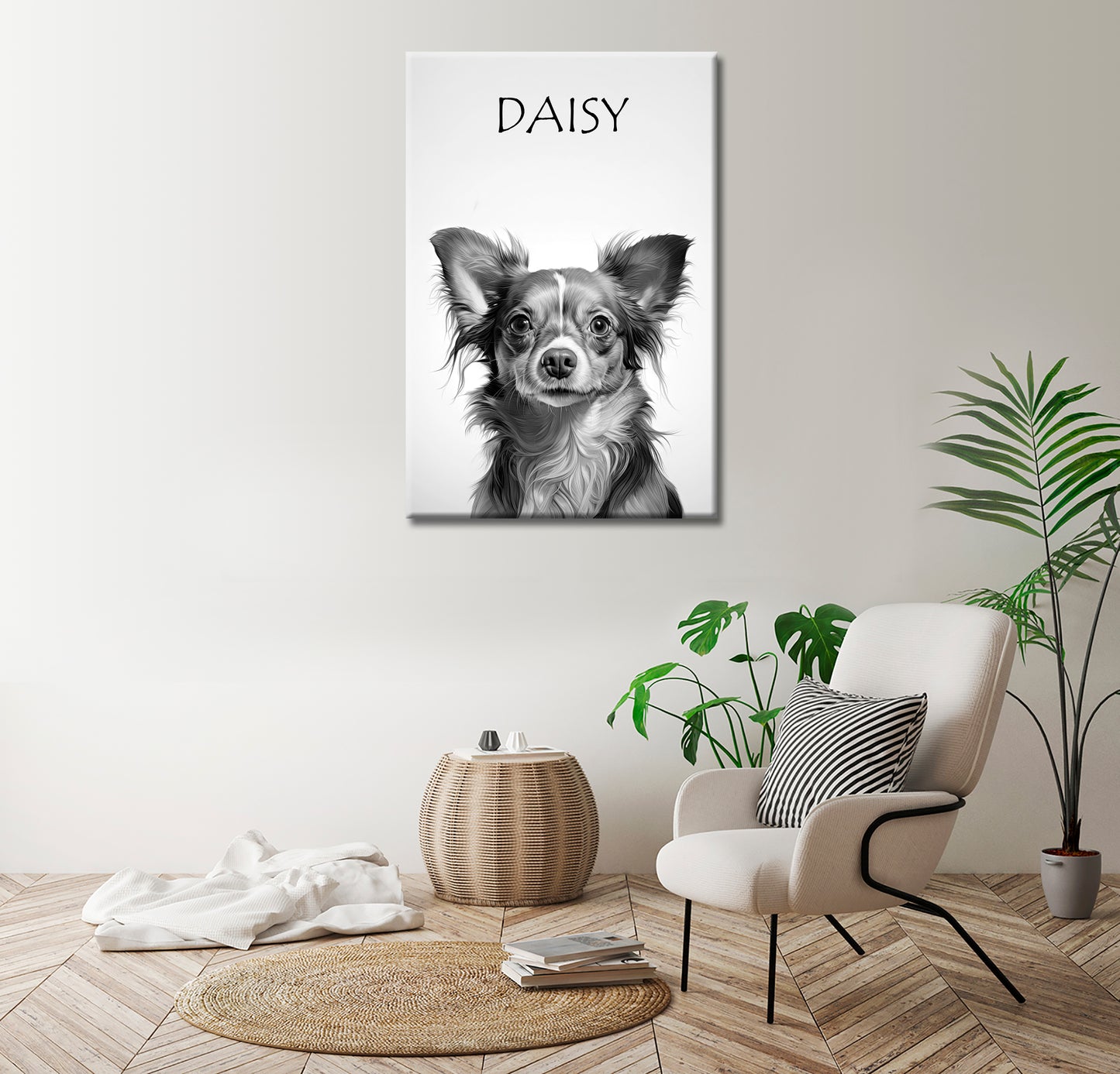 Daisy Brown Chihuahua