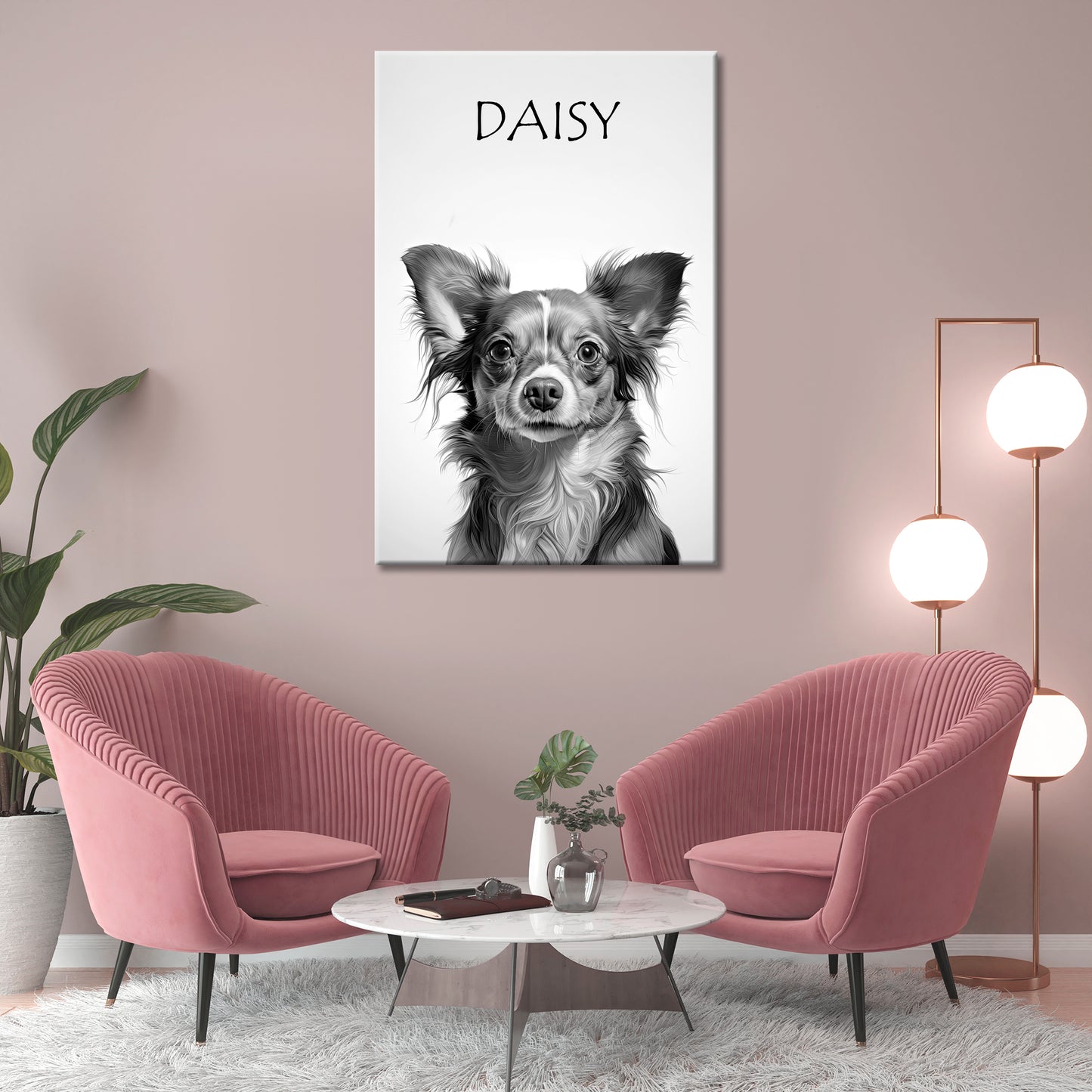 Daisy Brown Chihuahua