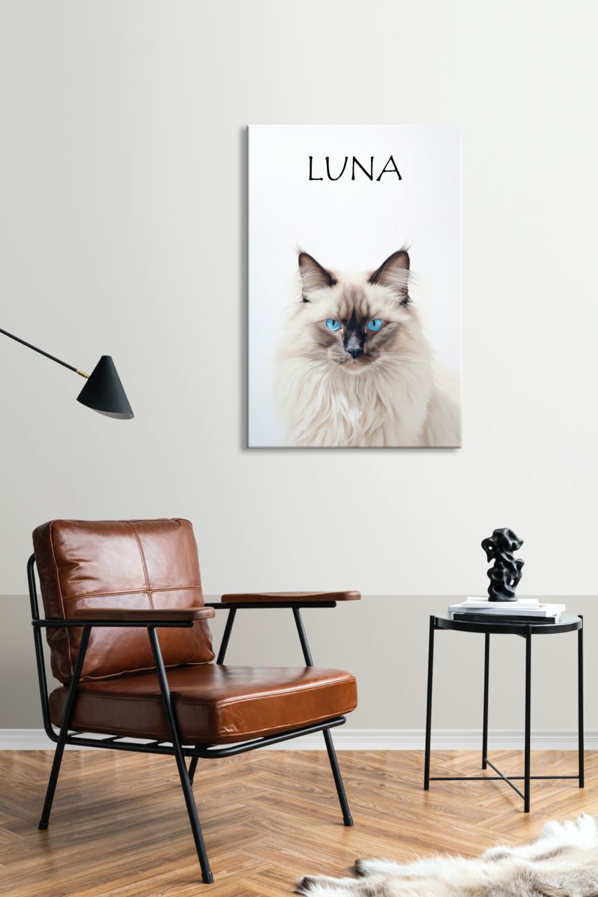 Birman Cat Luna