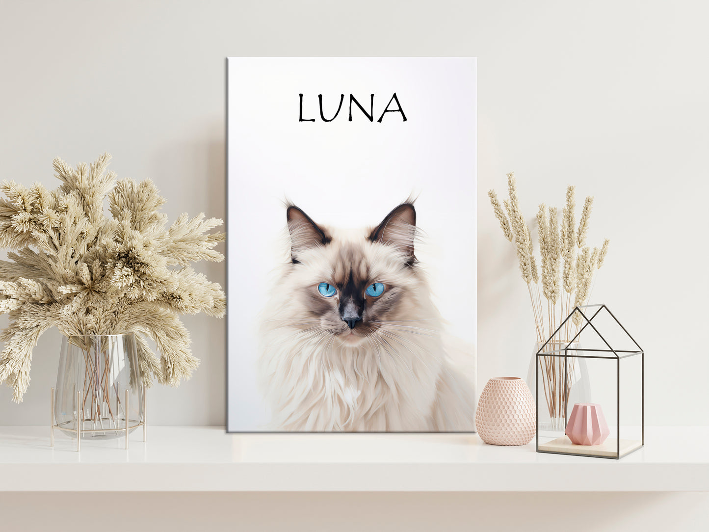 Birman Cat Luna